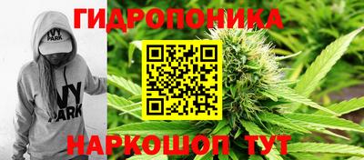 СК Моздок