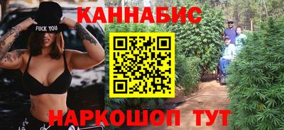 шишки Можга