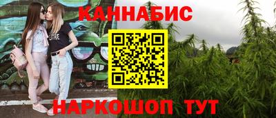 шишки Можга