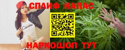 СК Моздок