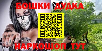 шишки Можга