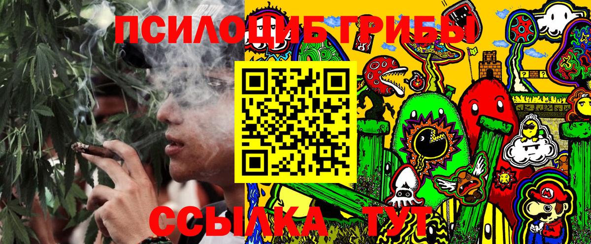 Псилоцибиновые грибы Psilocybe Чернушка
